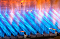 Blubberhouses gas fired boilers